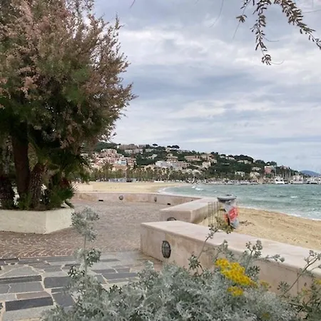Lumineux Avec Terrasse Et Parking Au Lavandou *